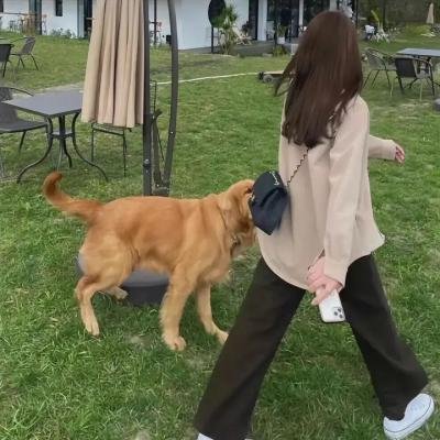 克莱
